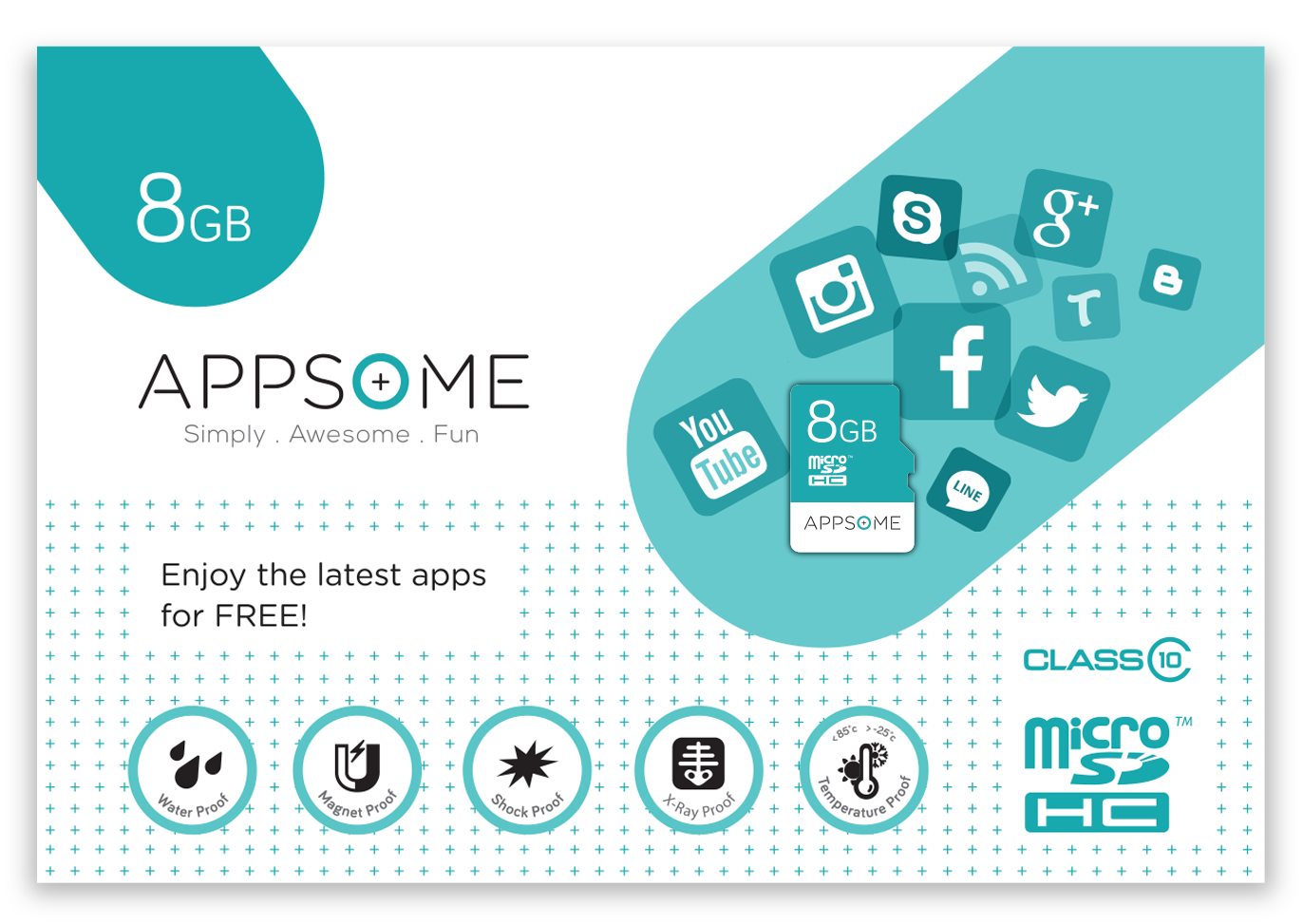 8 GB Class 10 microSD card
