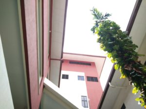 OPPO R1x Camera Sample - 2