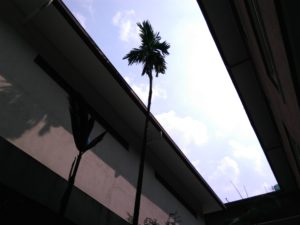 Lenovo PHAB Plus Camera Sample_3