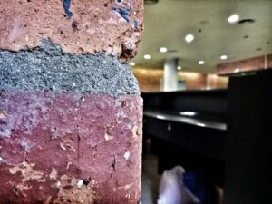 OPPO F1s Camera Sample (Edited)_6