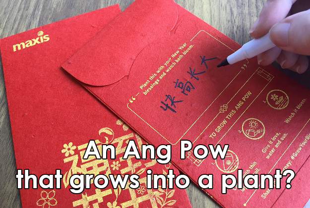 Maxis Has an Ang Pow That Grows into a Plant