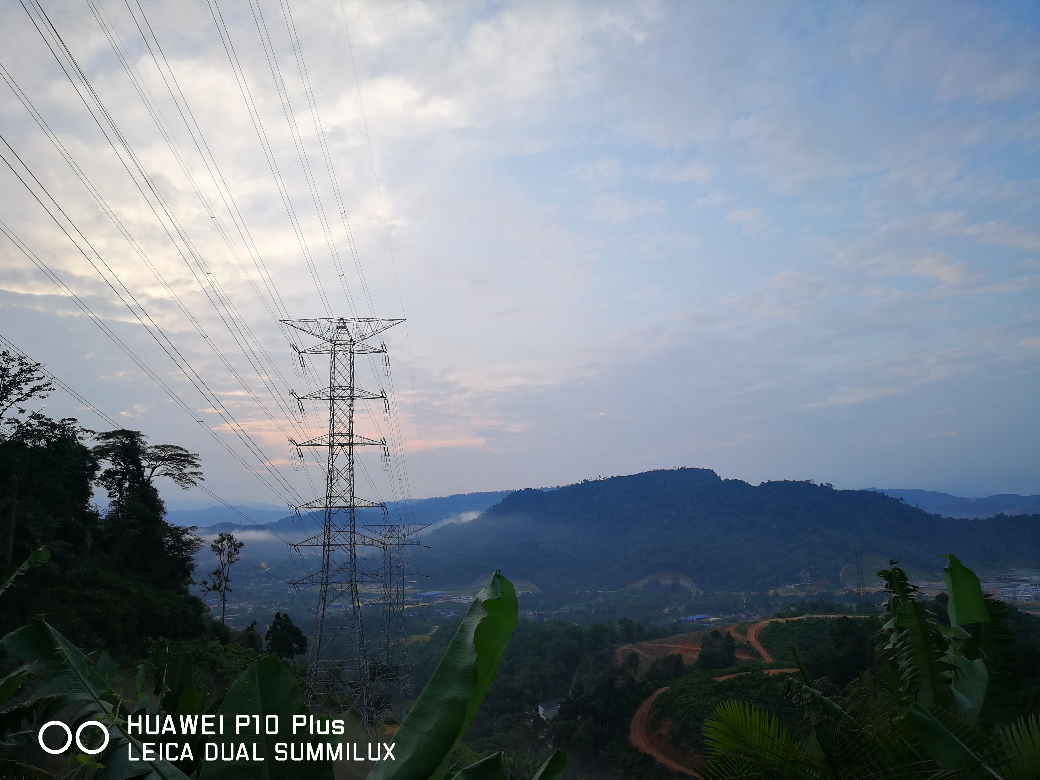 Vivid Colors (12MP)