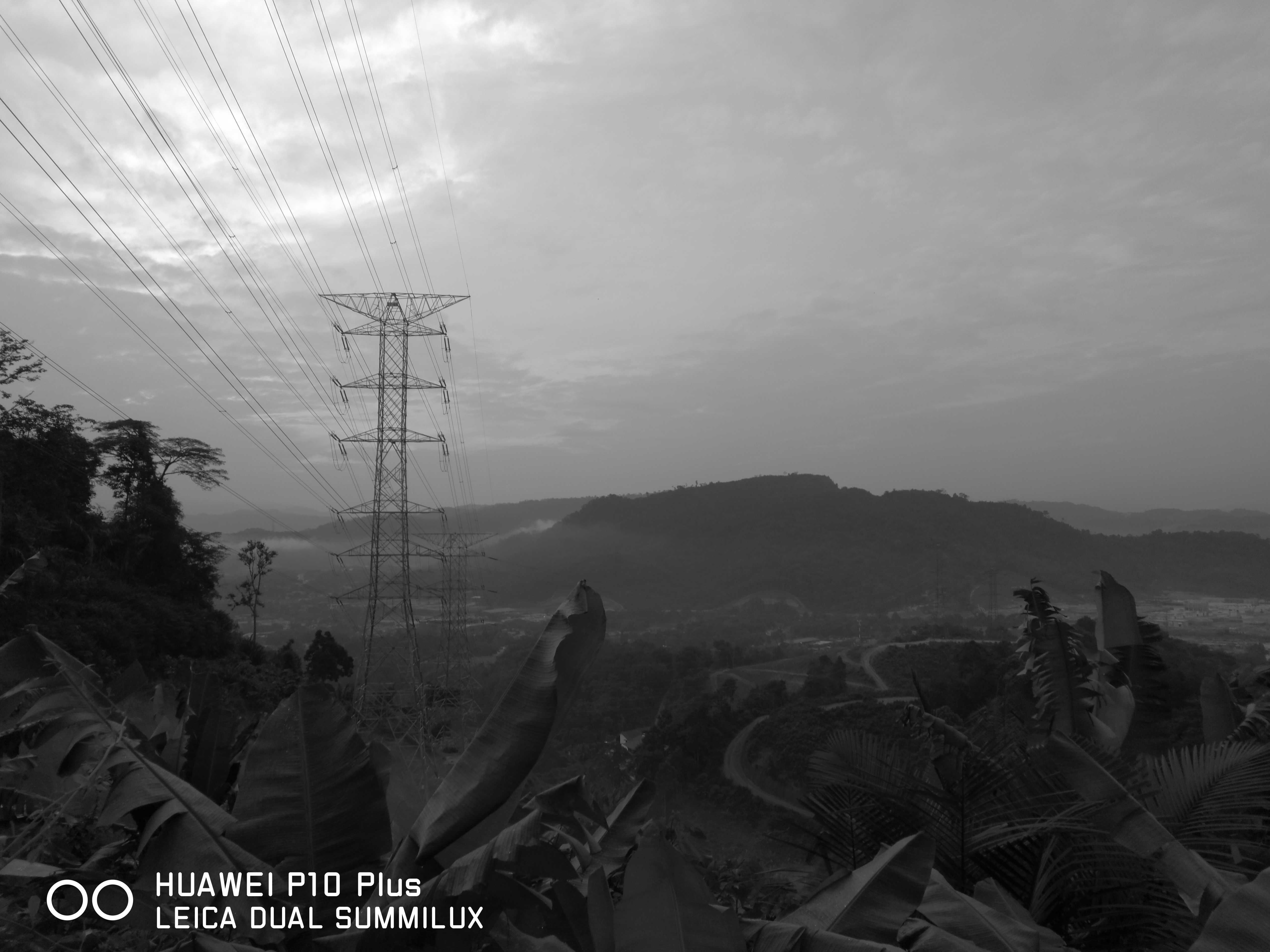 Monochrome (20MP)