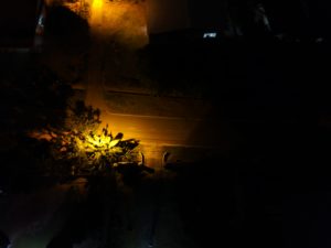 DJI Spark Camera Sample_6